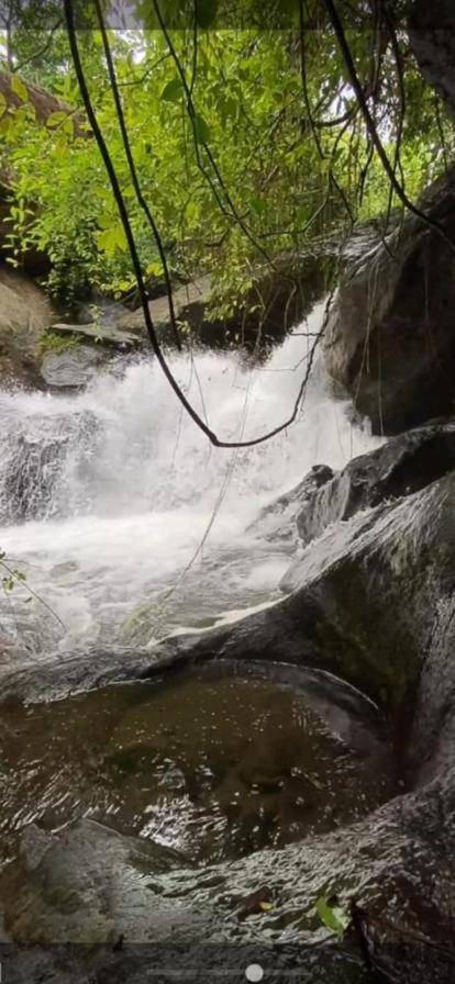 Earth Lounge Resort Vagamon Ngoại thất bức ảnh
