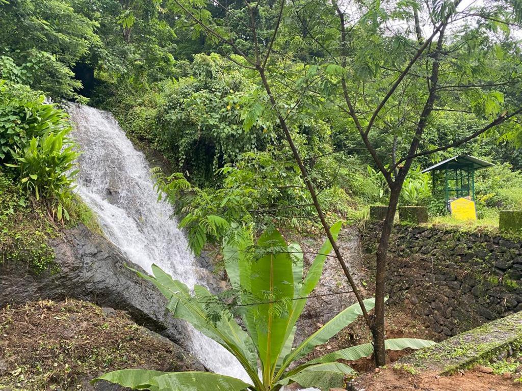 Earth Lounge Resort Vagamon Ngoại thất bức ảnh